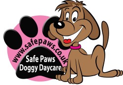 Dog Day Care Centre, Stirling with Safe Paws Logo